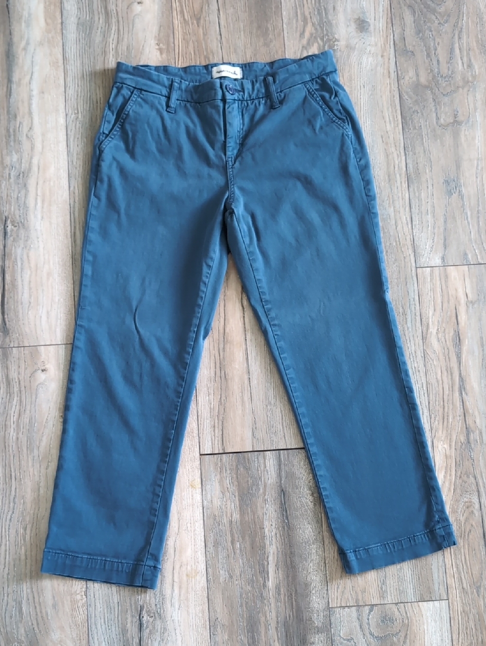Lila Ryan Cropped Ankle Pants Blue Size 6